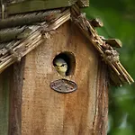 Spacieux Avec Jardin