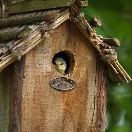 Gites Spacieux Avec Jardin